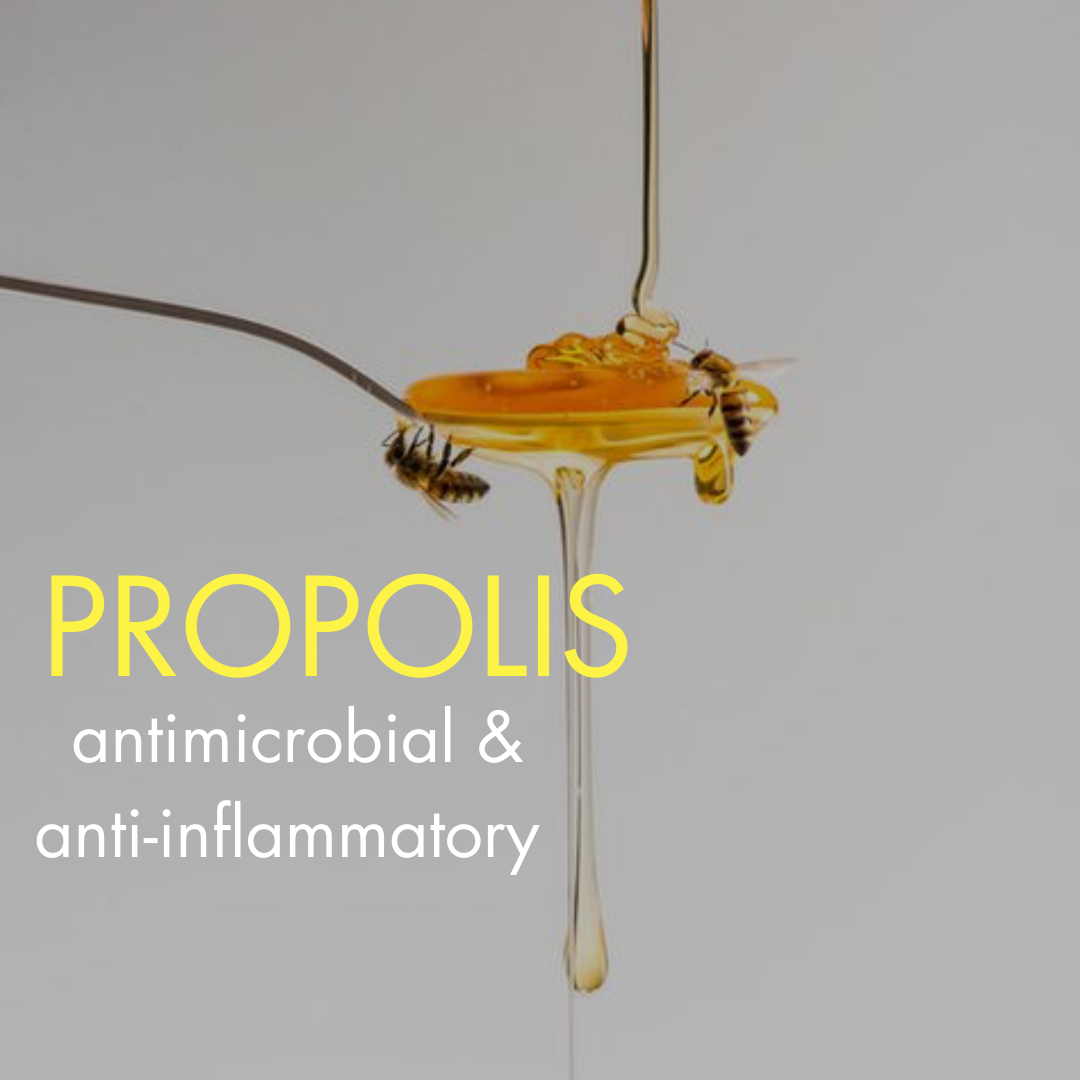 propolis bee powered ingredient in Skinbuzz skincare