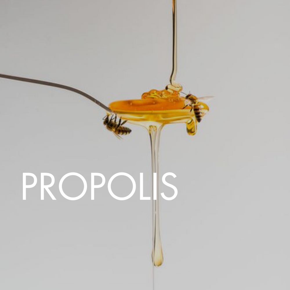 The Ultimate Guide to the Benefits Propolis for Skincare