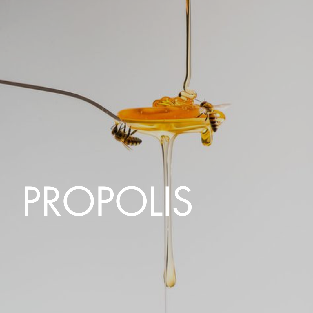 The Ultimate Guide to the Benefits Propolis for Skincare
