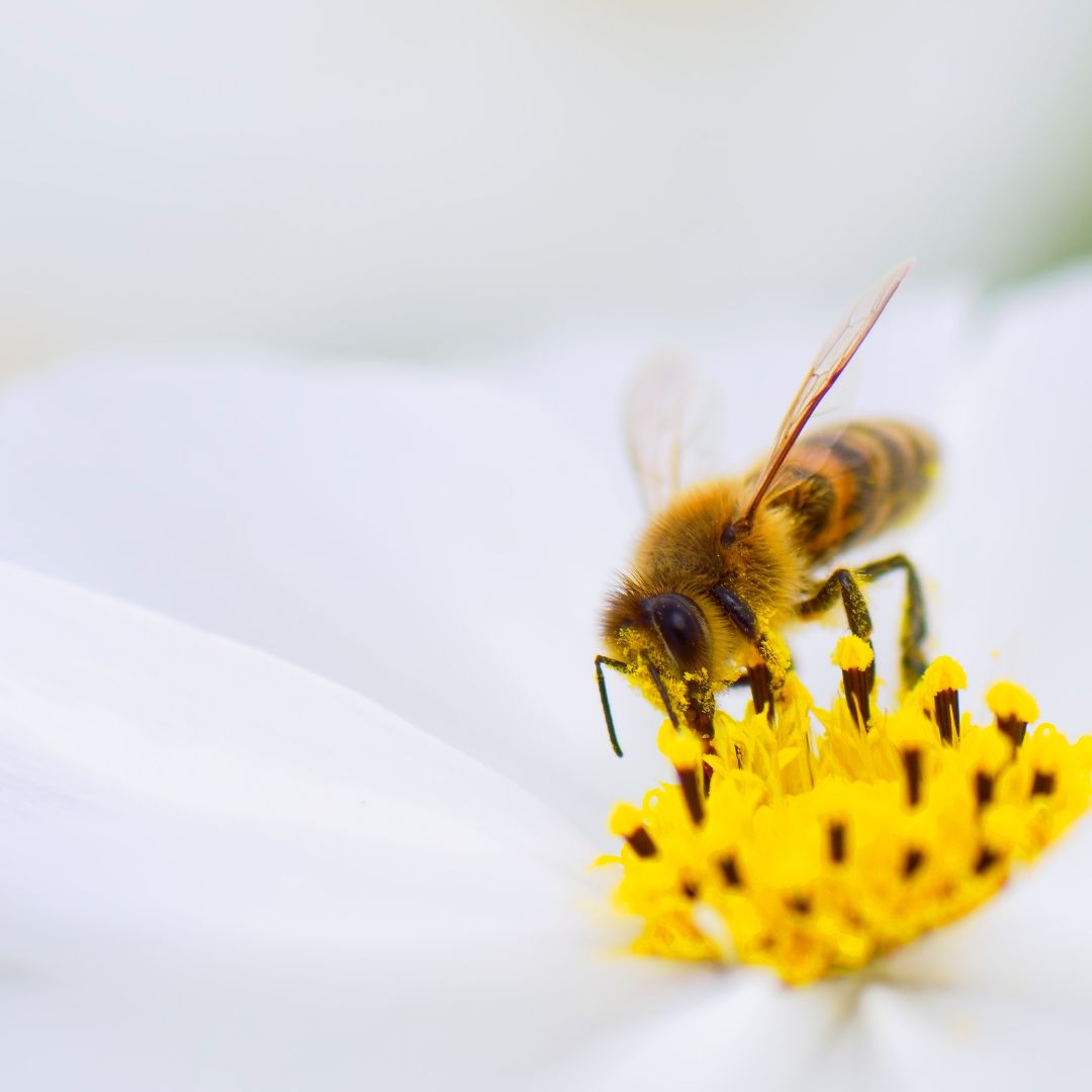 Rebirth Season: New Skincare, New Self, Same Soul