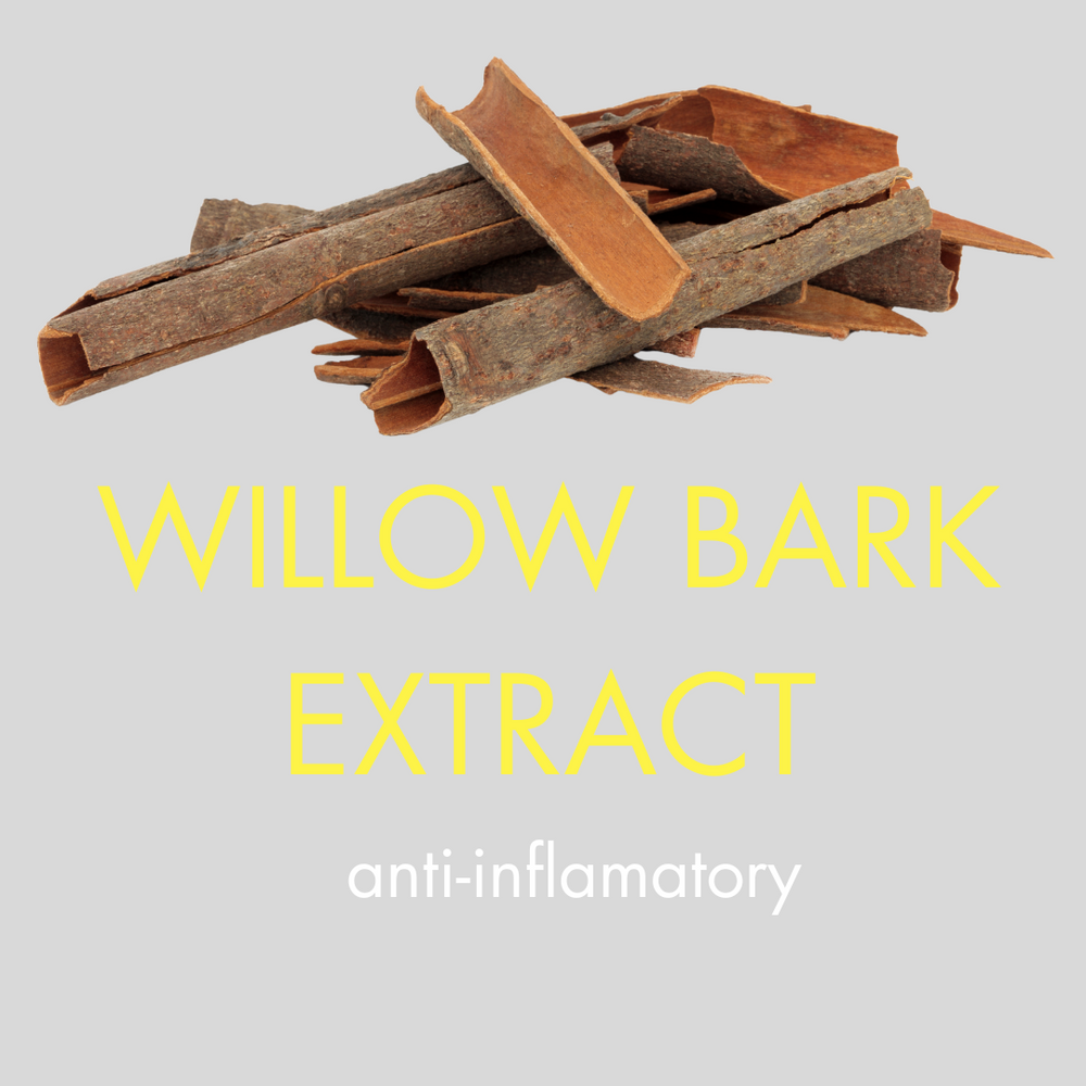 willow bark extract as an ingredient in skinbuzz blemish sticks for anti-acne properties